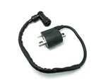 Ignition Coil Hyosung SB50, SD50, Prima SF50, Rally, EZ100, FX110.. Fixed Price $24.99.