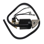 Quanlity Ignition Coil For Honda G150 G200 G300 G400 30500-887-303 30560-883-015. Fixed Price $21.82.