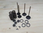 Husqvarna / 650 Strada Terra Cylinder Head Valves Assy Oem Genuine. Fixed Price $85.34.