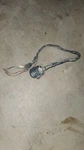 1977-80 KZ650 Sr B1/B2/B3, C1/C2/C3 KZ1000 Ltd, A1/A2/A2A Left Handlebar Switch. Fixed Price $98.99.