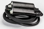 Ricks 2005-2006 PS250 Big Ruckus Honda Ignition Coil 23-106. Fixed Price $74.45.
