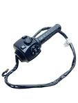 Harley Davidson Pan America Special 2021 - 2025 Throttle Control & Button Switch. Fixed Price $469.27.