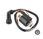 Ignition Coil Kawasaki Oem Replacement KX60 KX65 KX80 KDX80 KX125 KX250 KDX200. Fixed Price $15.88.