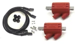 Dyna Ignition Coils 1.5 Ohm Output DC2-1 Wires DW-200 Bmw R80 R90 R100. Fixed Price $210.98.