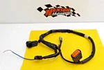 2007 Suzuki RMZ250 Main Engine Wiring Harness Motor Wire Loom. Fixed Price $50.00.
