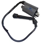 Ignition Coil For Honda Big Ruckus PS250 2005-2006. Fixed Price $18.13.